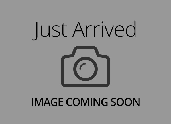 Schnoodle – 21258